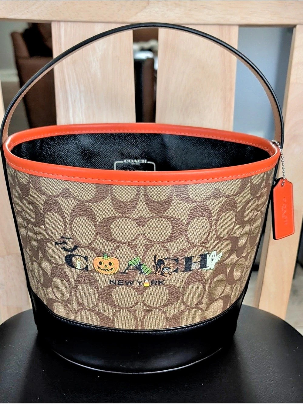 COACH Halloween Bucket Bag in Brown & Black Excellent Condition